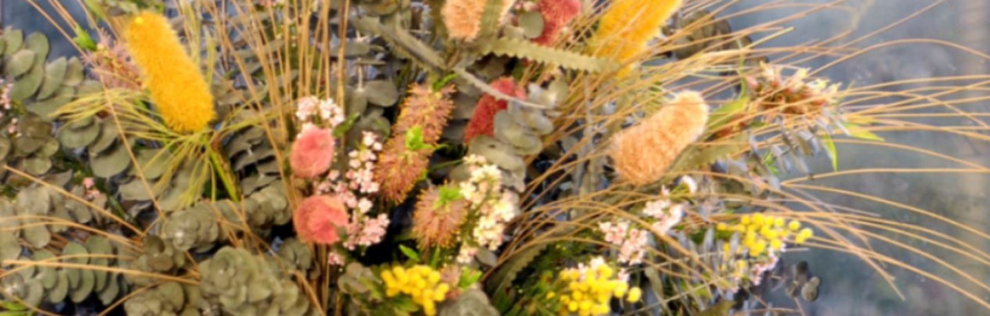 cropped-cropped-test1.jpg